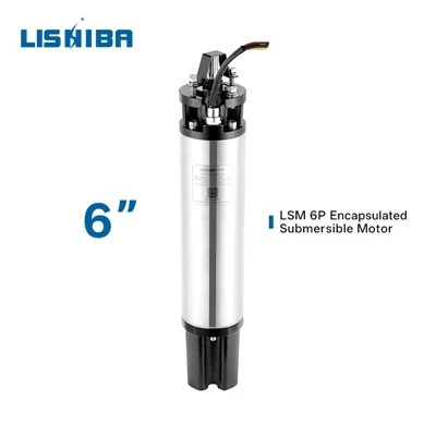 Apa persyaratan tegangan untuk motor submersible listrik?